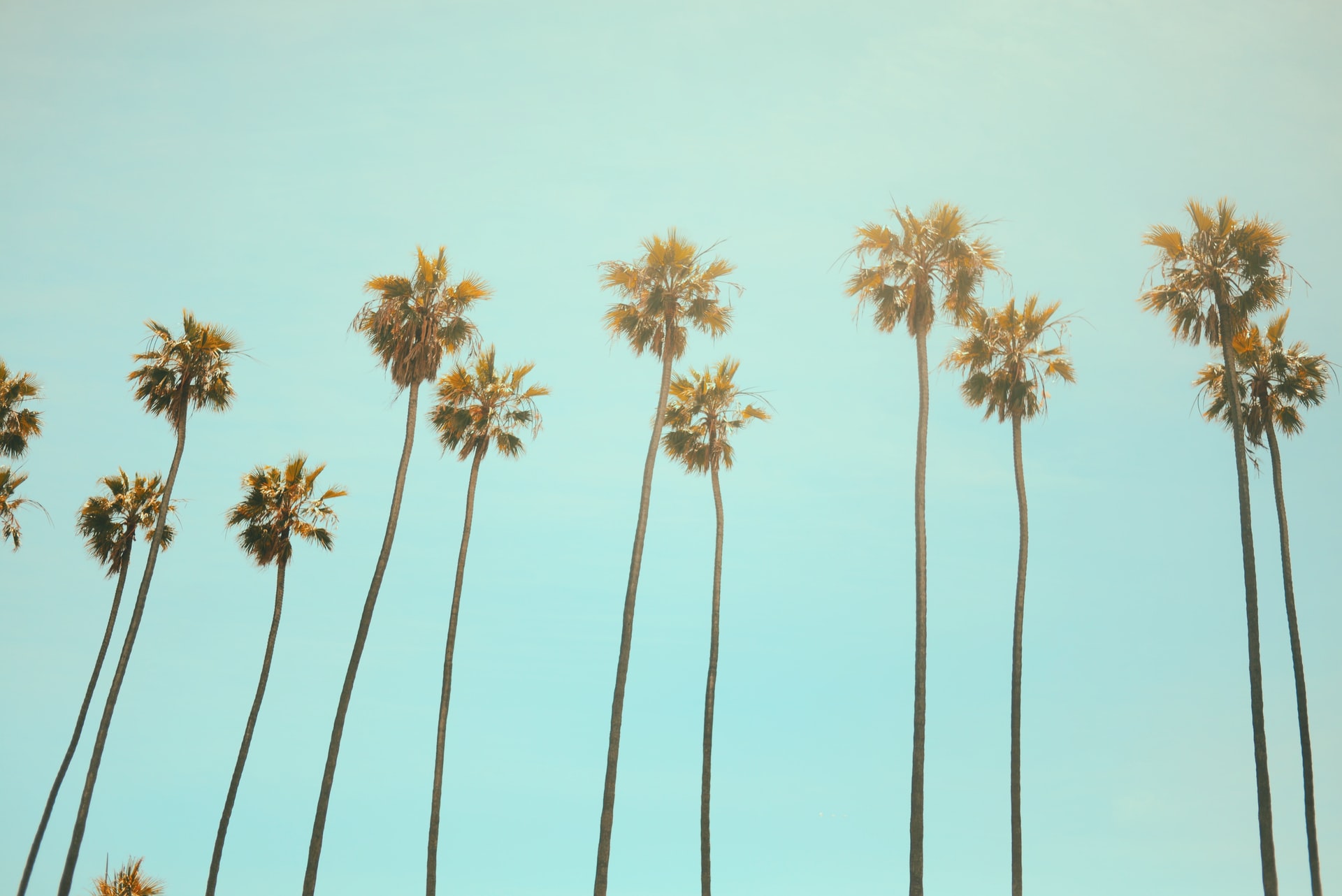 5 Gems of California That Will Last