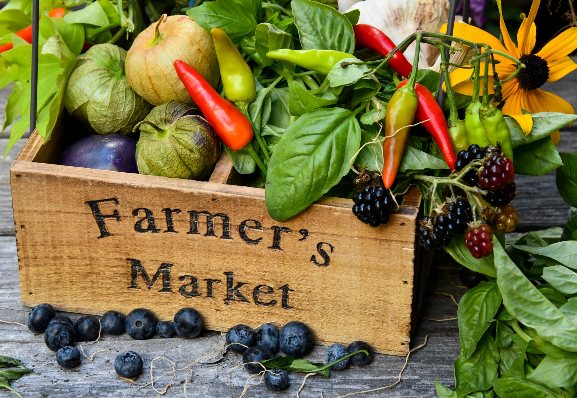 California’s Farmer’s Markets: A Bounty of Fresh Produce